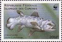West Indian Ocean coelacanth (Latimeria chalumnae)