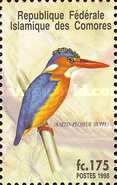 Malachite Kingfisher (Corythornis cristatus)