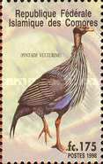 Vulturine Guineafowl (Acryllium vulturinum)