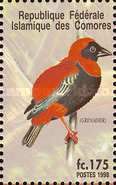 Southern Red Bishop (Euplectes orix)