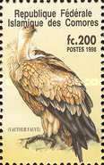 Eurasian Griffon (Gyps fulvus)