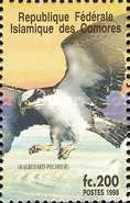 Osprey (Pandion haliaetus)