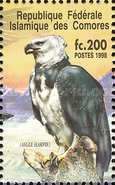 Harpy Eagle (Harpia harpyja)