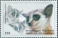 Brown Greater Galago (Galago crassicaudatus)
