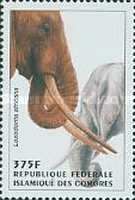 African Elephant (Loxodonta africana)