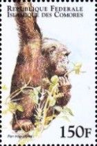 Pan troglodytes