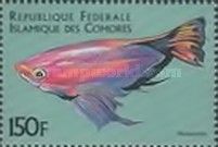 Purple Queen Anthias (Mirolabrichthys tuka)