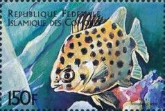 Scatophagus argus