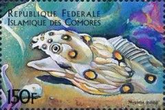 Myrichthys oculatus