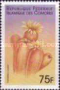 Orange Sun (Tubastrea aurea)