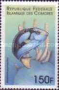 Flagtail surgeonfish (Paracanthurus hepatus)