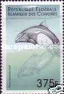 Dall's porpoise (Phocoenoides dalli)