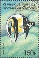 The Moorish idol (Zanclus cornutus)