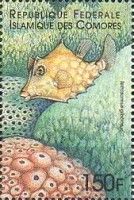 Camel cowfish (Tetrosomus gibbosus)