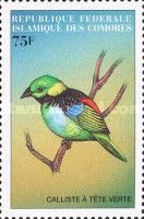 Green-headed Tanager (Tangara seledon)