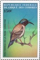 Fork-tailed Sunbird (Aethopyga christinae)