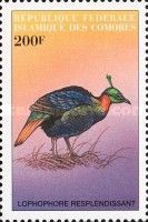 Himalayan Monal (Lophophorus impejanus)