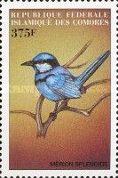 Splendid Fairywren (Malurus splendens)
