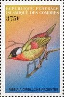 Silver-eared Mesia (Leiothrix argentauris)
