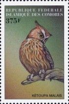 Buffy Fish Owl (Ketupa ketupu)