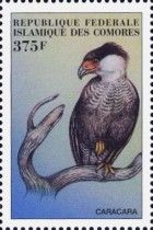 Crested Caracara (Caracara plancus)