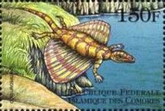 Coelurosaurus