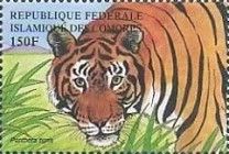 Panthera tigris
