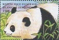 Ailuropoda melanoleuca
