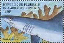 Isurus oxyrhynchus