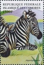 Hippotigris zebra