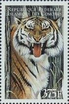 Panthera tigris