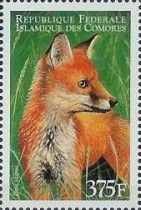 Vulpes vulpes