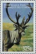 Rangifer tarandus dawsoni