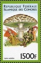Green-Spored Parasol (Lepiota molybdites)