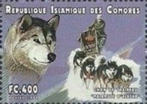 Sledge Dogs
