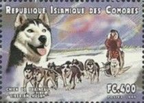 Sled Dogs