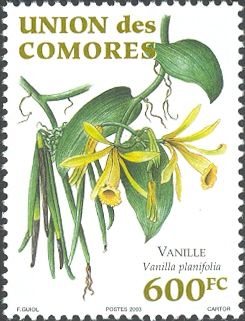 Vanilla