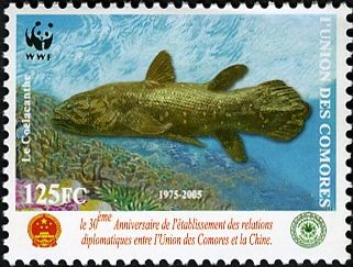 Coelacanthe
