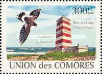 Ilha de Goa (Mozambique), Wilson's Storm Petrel (Oceanites o
