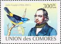 Blue-and-yellow Tanager (Tanager darwinii)