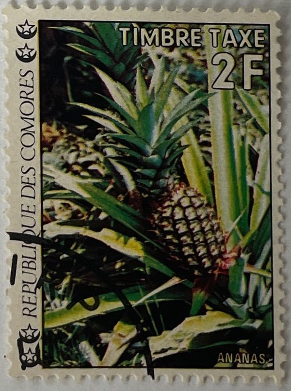 Flowers, Pineapple