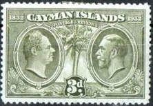 Two Kings,Palm Tree