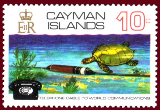 Cable,Turtle,Telephone