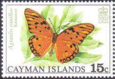 Gulf Fritillary (Agraulis vanillae)