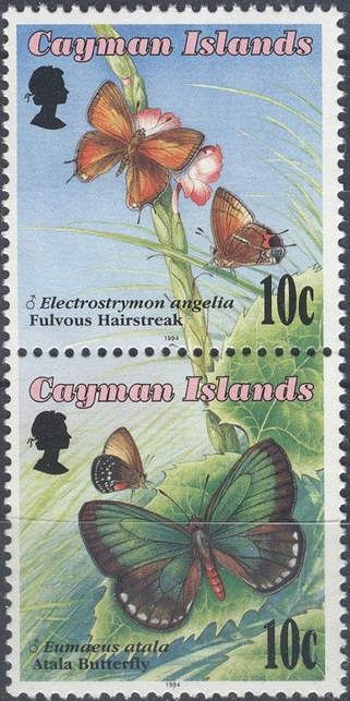 Fulvous Hairstreak (Electrostrymon angelia)