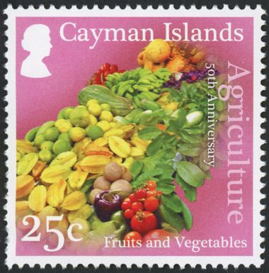 Fruits and Vegetables