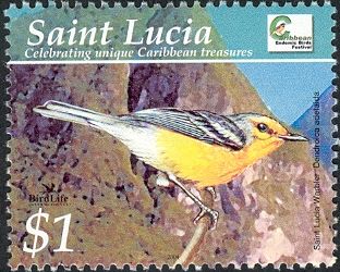 Saint Lucia Warbler (Dendroica adelaida) (see Description)