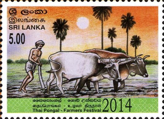 Thai Pongal 2014