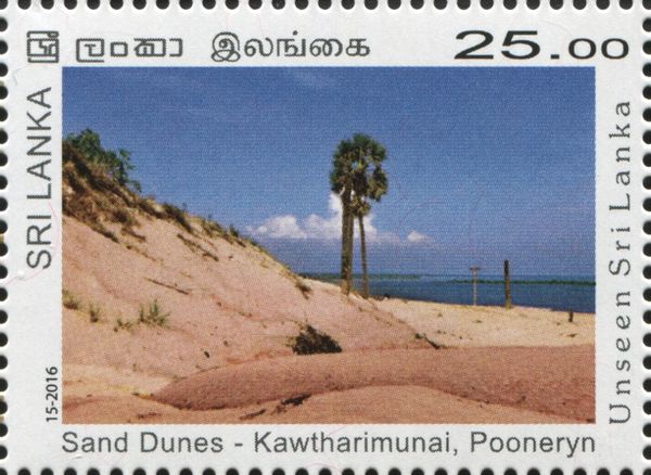 Sand Dunes