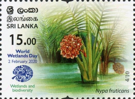 Nypa fruticans